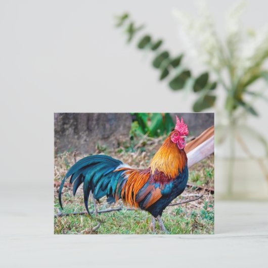 Red junglefowl briefkaart (Staand voorkant)