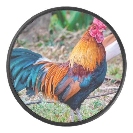Red junglefowl hockey puck (Voorkant)