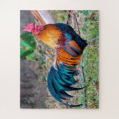 Red junglefowl legpuzzel (Verticaal)