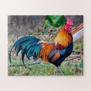 Red junglefowl legpuzzel