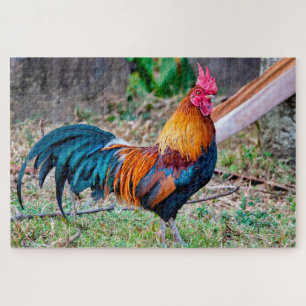 Red junglefowl legpuzzel