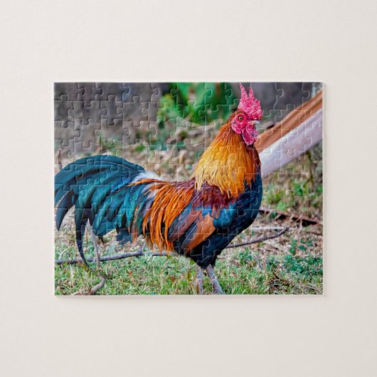 Red junglefowl legpuzzel (Horizontaal)