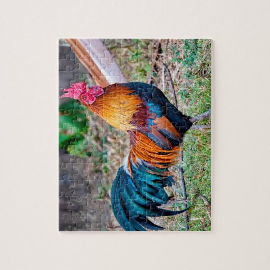 Red junglefowl legpuzzel (Verticaal)