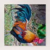 Red junglefowl legpuzzel (Horizontaal)