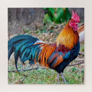 Red junglefowl legpuzzel