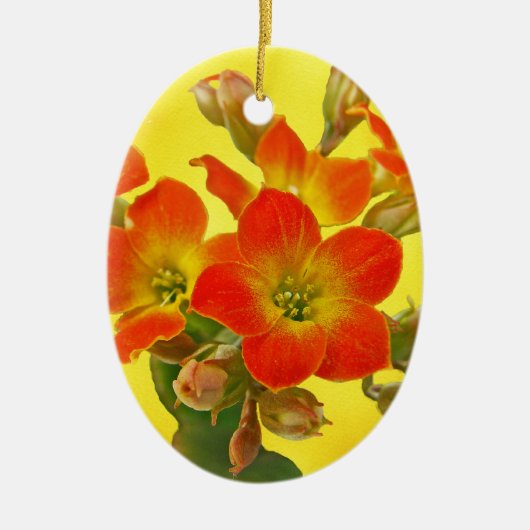 Red Kalanchoe - Succulent Sunshine Keramisch Ornament (Voorkant)