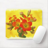 Red Kalanchoe - Succulent Sunshine Muismat (Met muis)