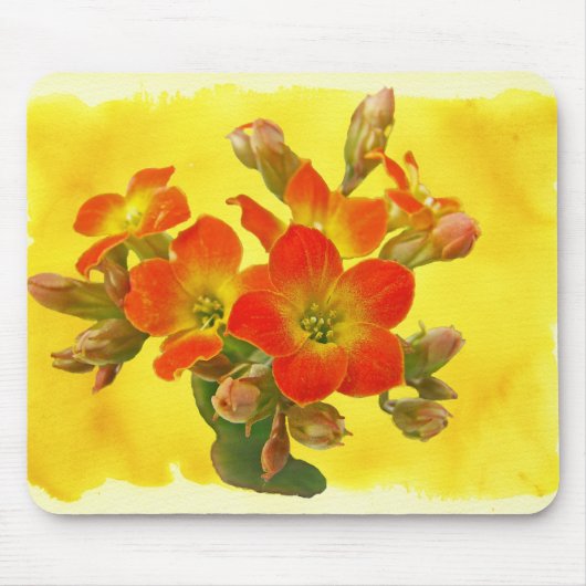 Red Kalanchoe - Succulent Sunshine Muismat (Voorkant)