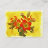 Red Kalanchoe - Succulent Sunshine Visitekaartje (Achterkant)