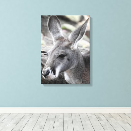 Red Kangaroo Canvas Afdruk (Insitu (Houten vloer))