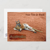 Red Kangaroo in het Pet Slouch Briefkaart (Voorkant / Achterkant)