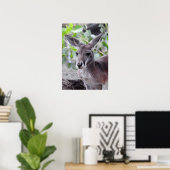 Red Kangaroo Poster (Thuiskantoor)