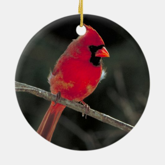 Red Kardinaal kerstversiering Keramisch Ornament (Achterkant)