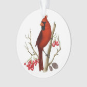 Red Kardinaal kerstversiering Ornament (voorkant)