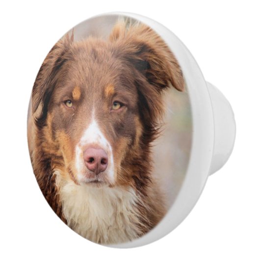 Red Keramische Knop (Rechts)