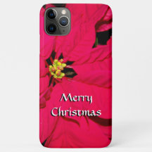 Red kerst Poinsettia