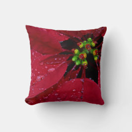 Red kerst Poinsettia Kussen