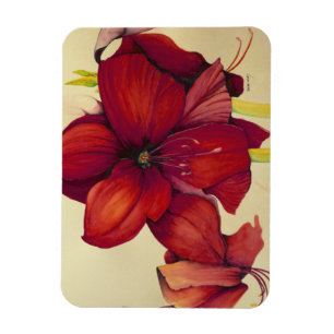 Red Kerstmis Amaryllis Photo Magnet Magneet