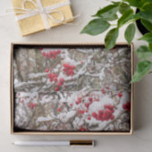 Red Kerstmis Holly Berries Snow WInter Ontkoppelin Tissuepapier (Geschenk)