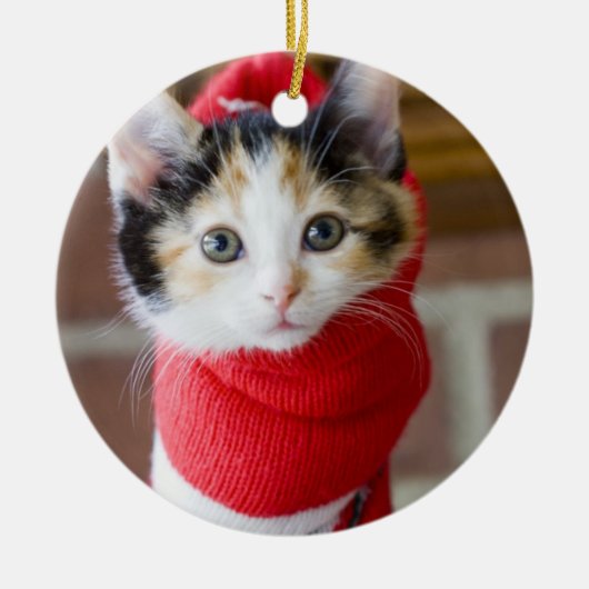 Red Kerstmis Kitten Metalen Ornament (Voorkant)