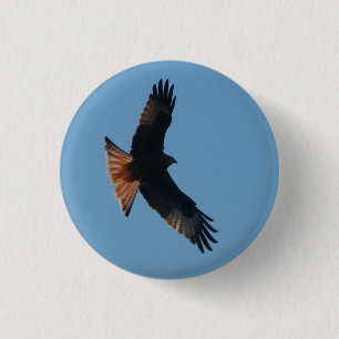 Red Kite Badge Ronde Button 3,2 Cm