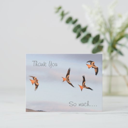 Red Kite bedankt Briefkaart (Staand voorkant)
