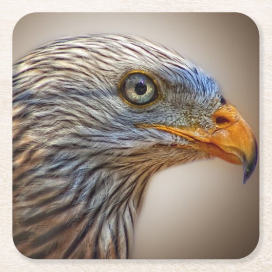 Red Kite Bird of Prey Milan Kartonnen Onderzetters (Voorkant)