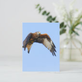 Red Kite Briefkaart (Staand voorkant)