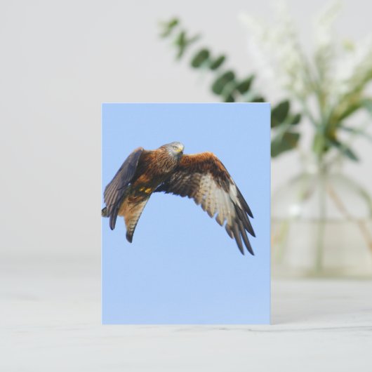 Red Kite Briefkaart (Staand voorkant)