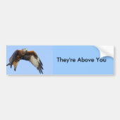 Red Kite Bumpersticker (Voorkant)