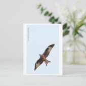 Red Kite in Sky Briefkaart (Staand voorkant)