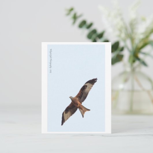 Red Kite in Sky Briefkaart (Staand voorkant)