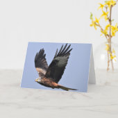 Red Kite Kaart (Gele Bloem)