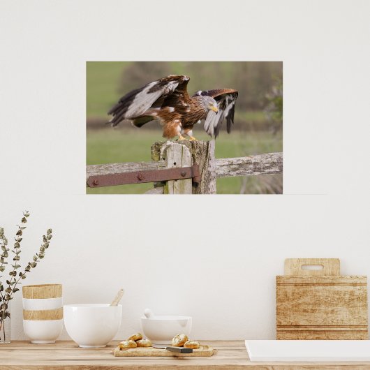 Red Kite Poster (Keuken)