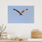 Red Kite Print (Keuken)