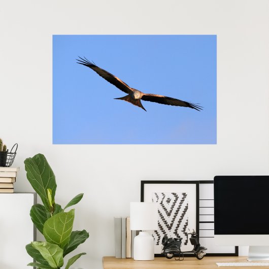 Red Kite Soaring Print (Thuiskantoor)