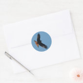 Red Kite Sticker (Envelop)