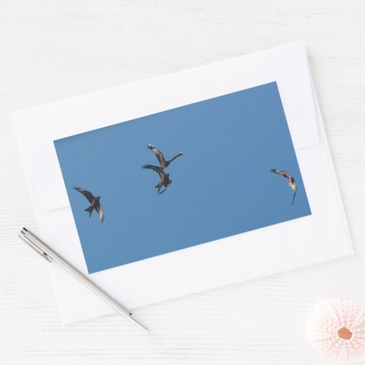 Red Kites Sticker (Envelop)