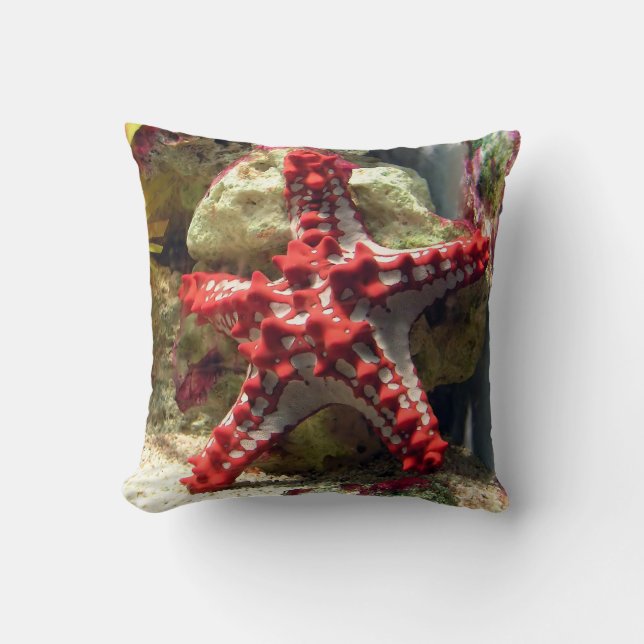 Red Knobbed Starfish - Ongelooflijk heet Kussen (Voorkant)