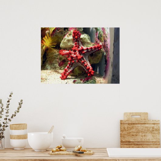 Red Knobbed Starfish - Ongelooflijk heet Poster (Keuken)