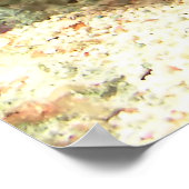 Red Knobbed Starfish - Ongelooflijk heet Poster (Hoek)