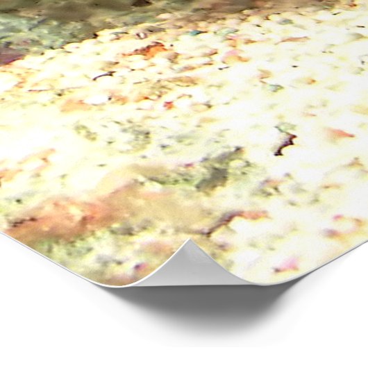 Red Knobbed Starfish - Ongelooflijk heet Poster (Hoek)