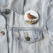 Red Knot door Audubon, Sandpiper Birdwatcher, Bird Ronde Button 5,7 Cm (In situ)