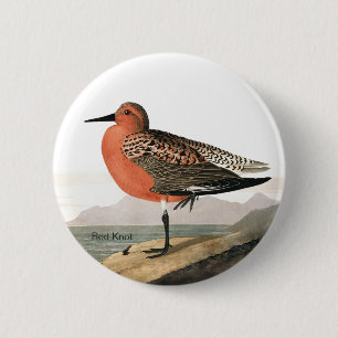 Red Knot door Audubon, Sandpiper Birdwatcher, Bird Ronde Button 5,7 Cm