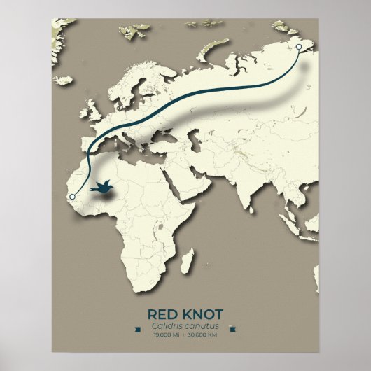 Red Knot Migration Map - Minimalistische Vogel Poster (Voorkant)