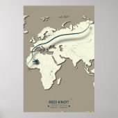Red Knot Migration Map - Minimalistische  Vogel Poster (Voorkant)