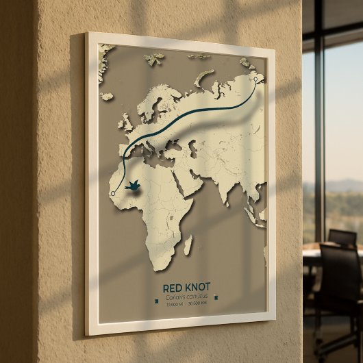 Red Knot Migration Map - Minimalistische  Vogel Poster