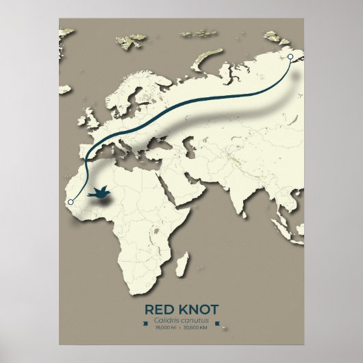 Red Knot Migration Map - Minimalistische  Vogel Poster (Voorkant)