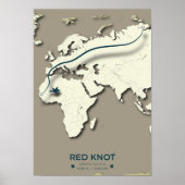 Red Knot Migration Map - Minimalistische  Vogel Poster (Voorkant)