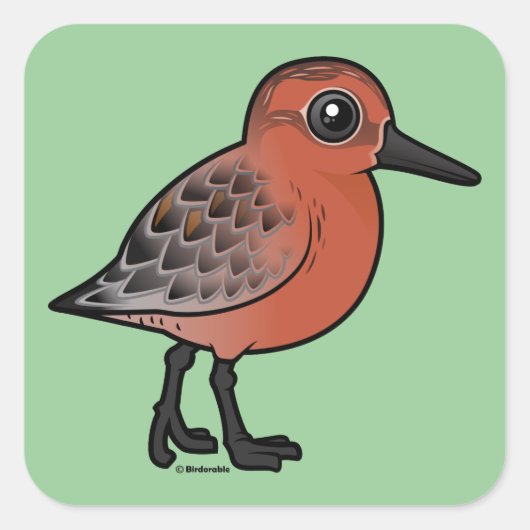 Red Knot Vierkante Sticker (Voorkant)